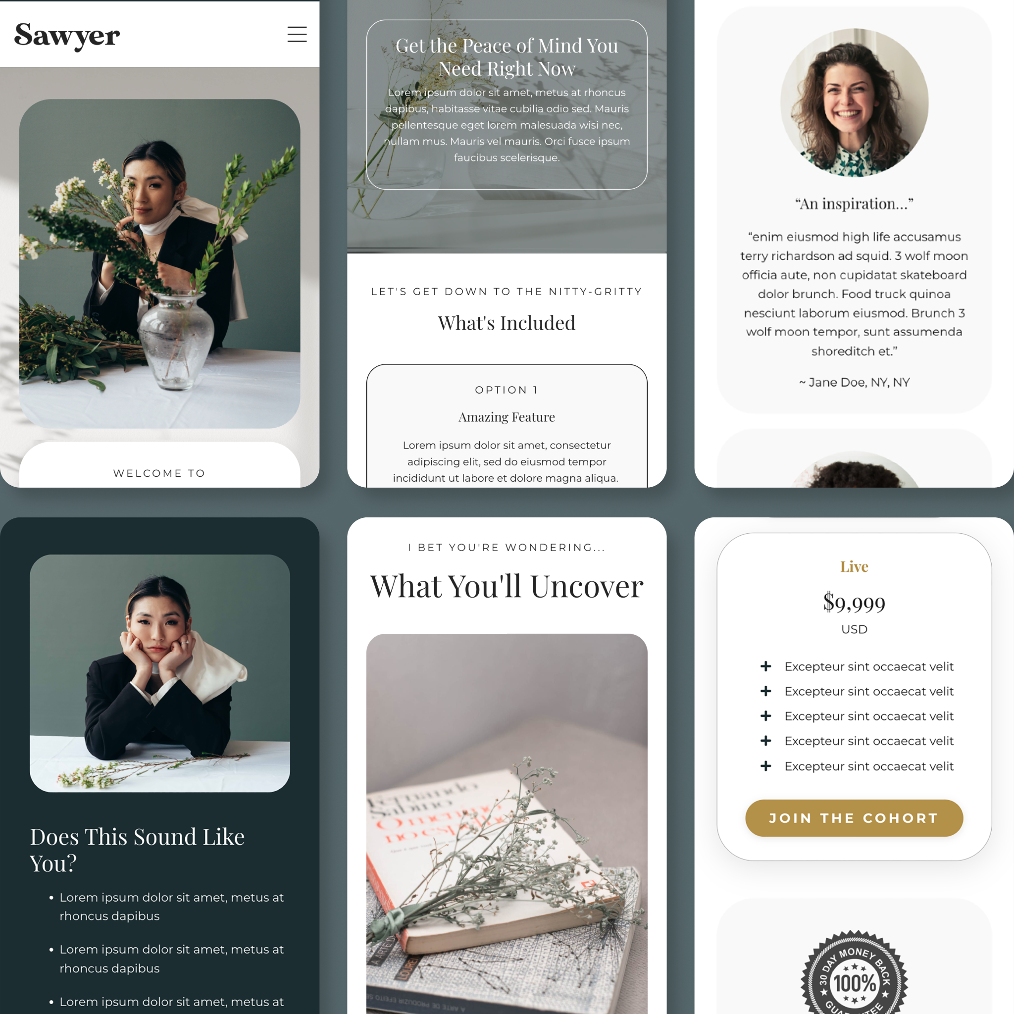 Sawyer Kajabi Sales Page Template